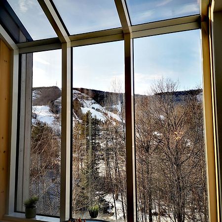 Condo Sur 2 Niveaux Avec Magnifique Vue Sur La Montagne Stoneham Ngoại thất bức ảnh
